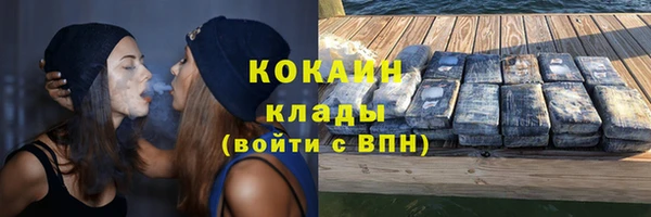 альфа пвп Заводоуковск