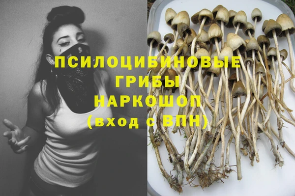 героин Ельня