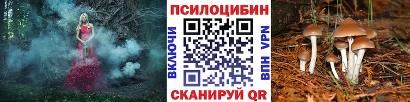 Галлюциногенные грибы Magic Shrooms  Борзя 